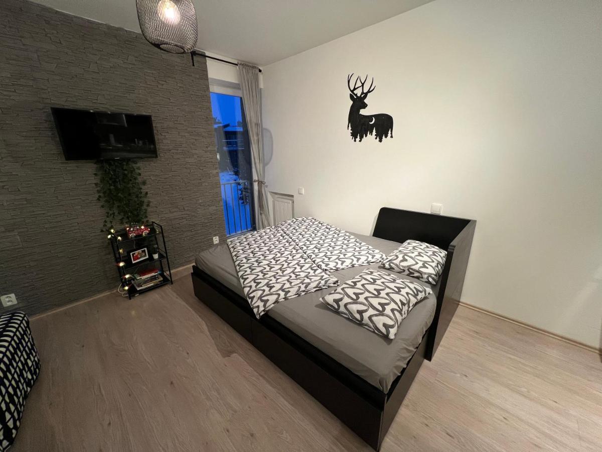 New Nelis Apartment Klinovec Loučná pod Klínovcem Eksteriør bilde