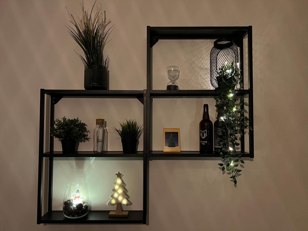 New Nelis Apartment Klinovec Loučná pod Klínovcem Eksteriør bilde