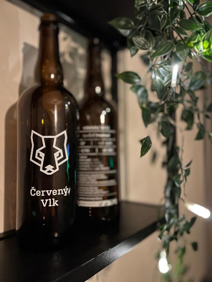 New Nelis Apartment Klinovec Loučná pod Klínovcem Eksteriør bilde