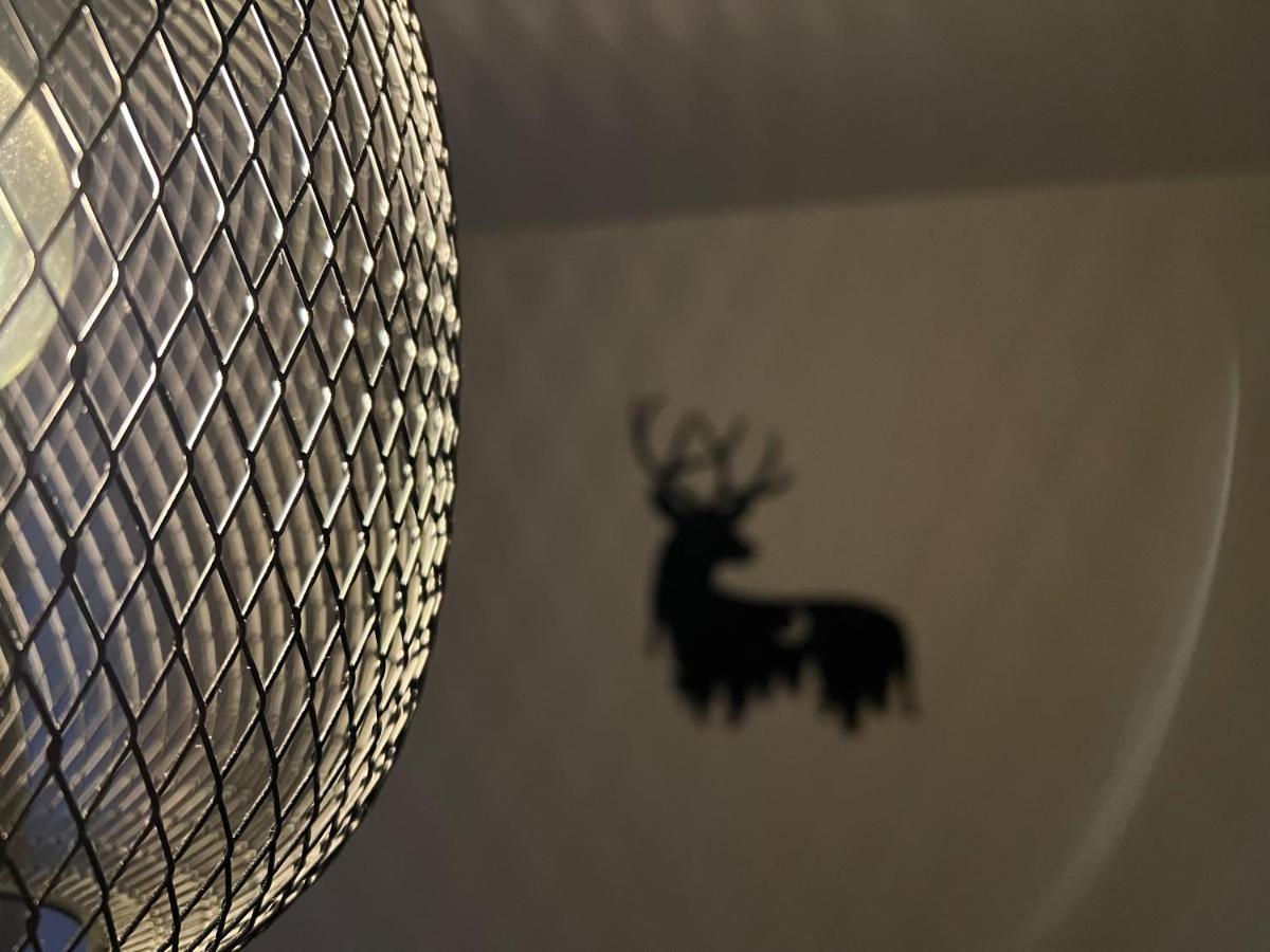 New Nelis Apartment Klinovec Loučná pod Klínovcem Eksteriør bilde