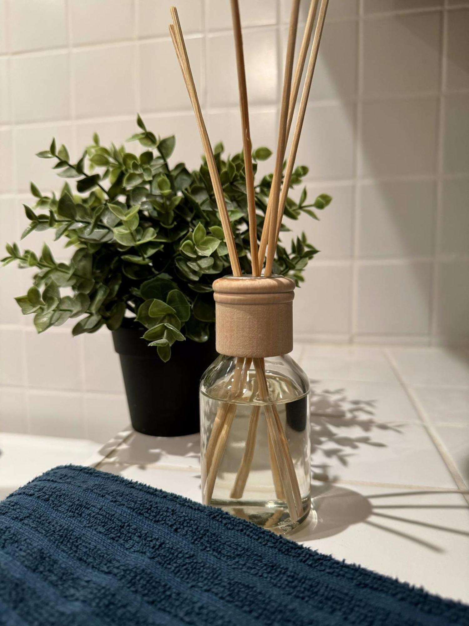 New Nelis Apartment Klinovec Loučná pod Klínovcem Eksteriør bilde